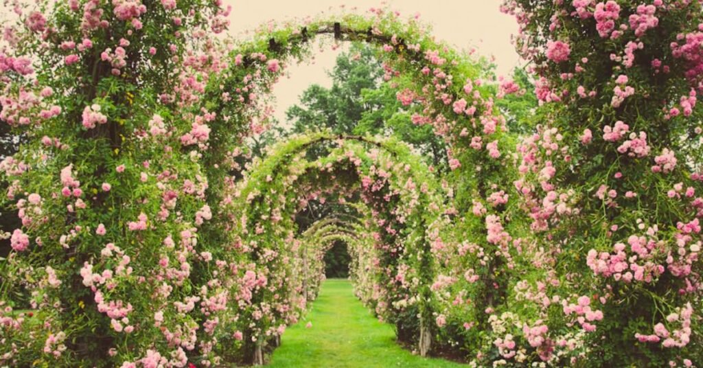 Rose Garden Aesthetic