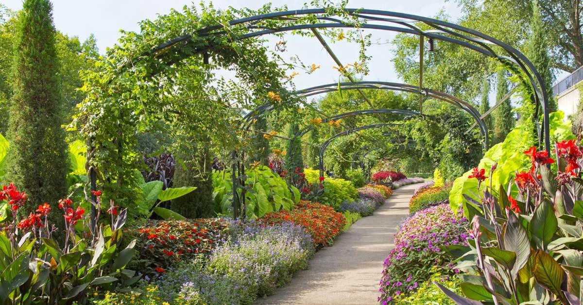 Flower Garden Aesthetic