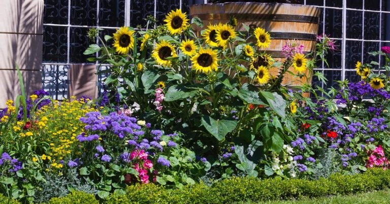 Flower Garden Ideas