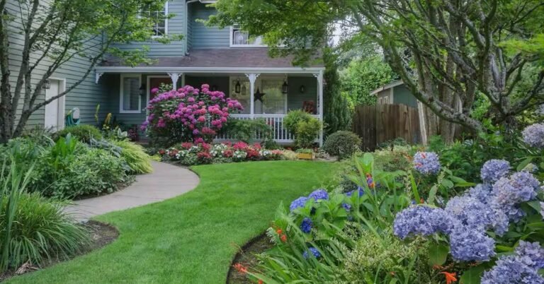 Front Garden Ideas